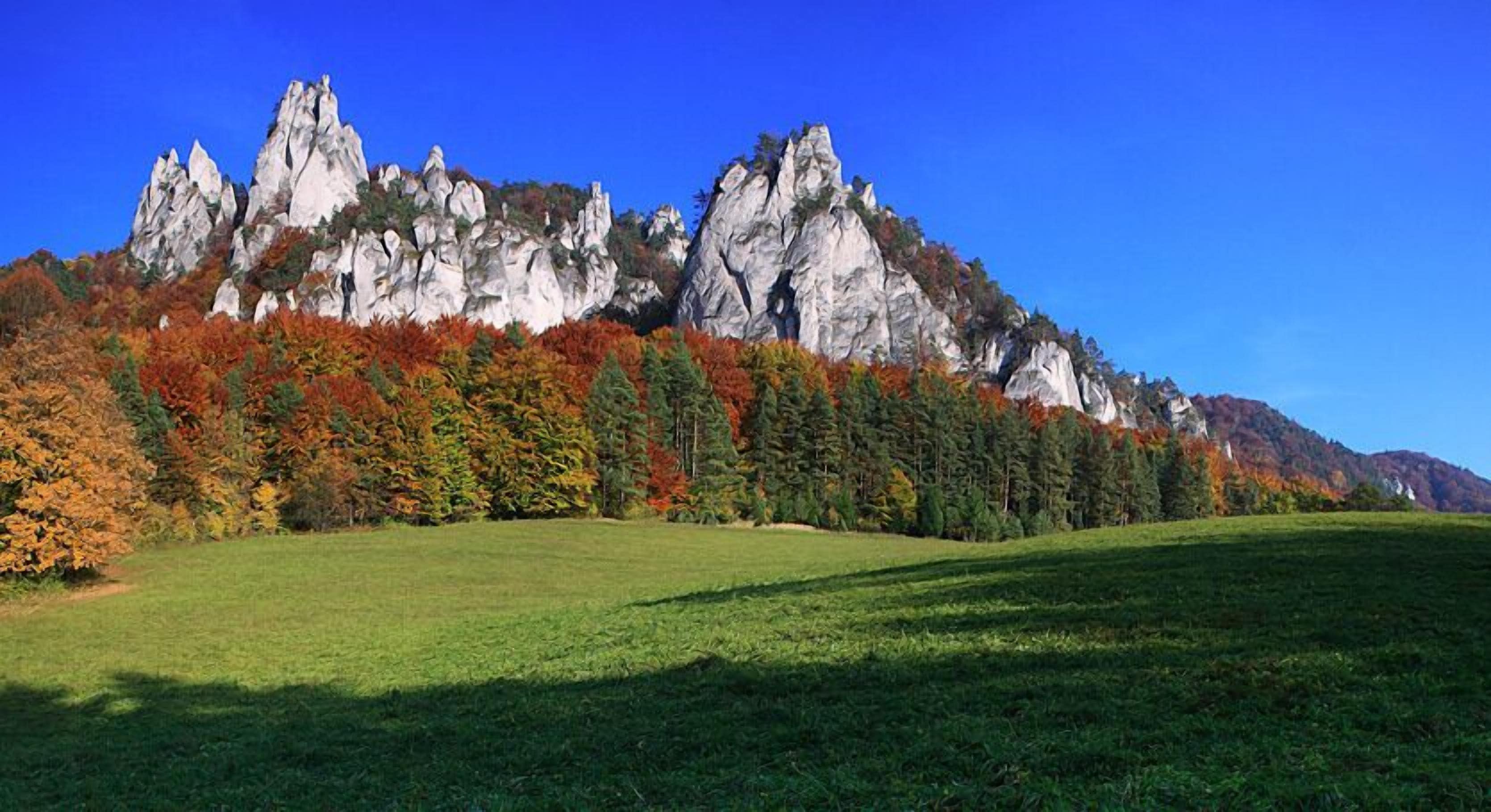 A grassy field with a rocky mountain in the background.