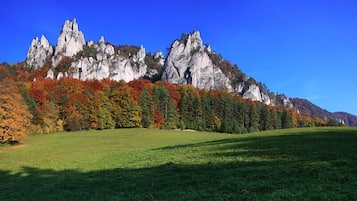 A grassy field with a rocky mountain in the background.