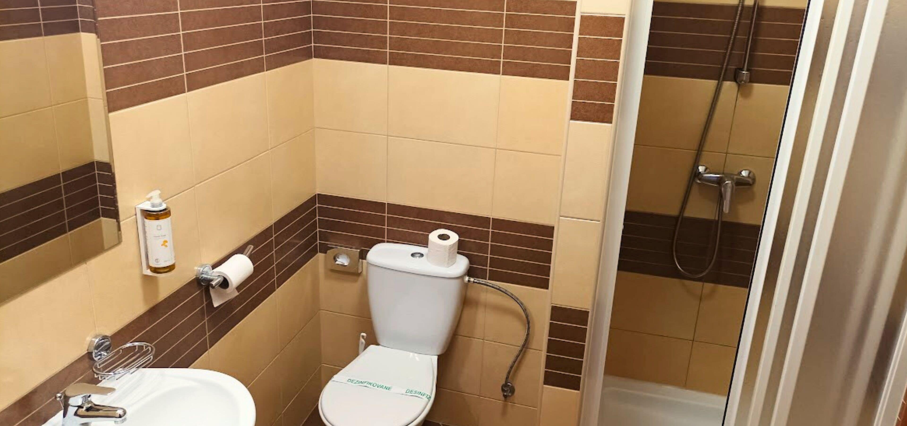 A small bathroom with a toilet, sink, and shower.