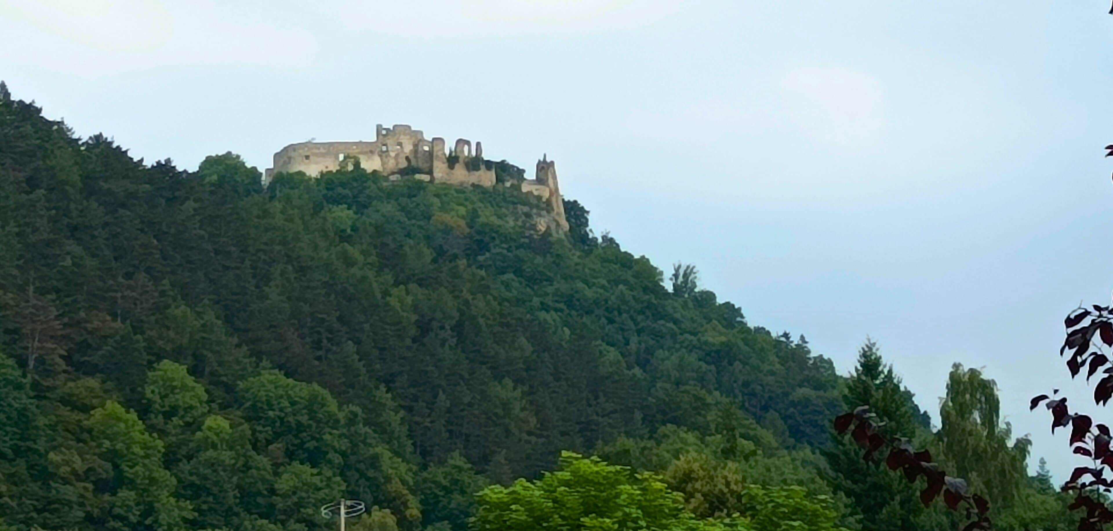 A castle on a hill with dense forest.