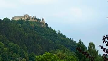 A castle on a hill with dense forest.