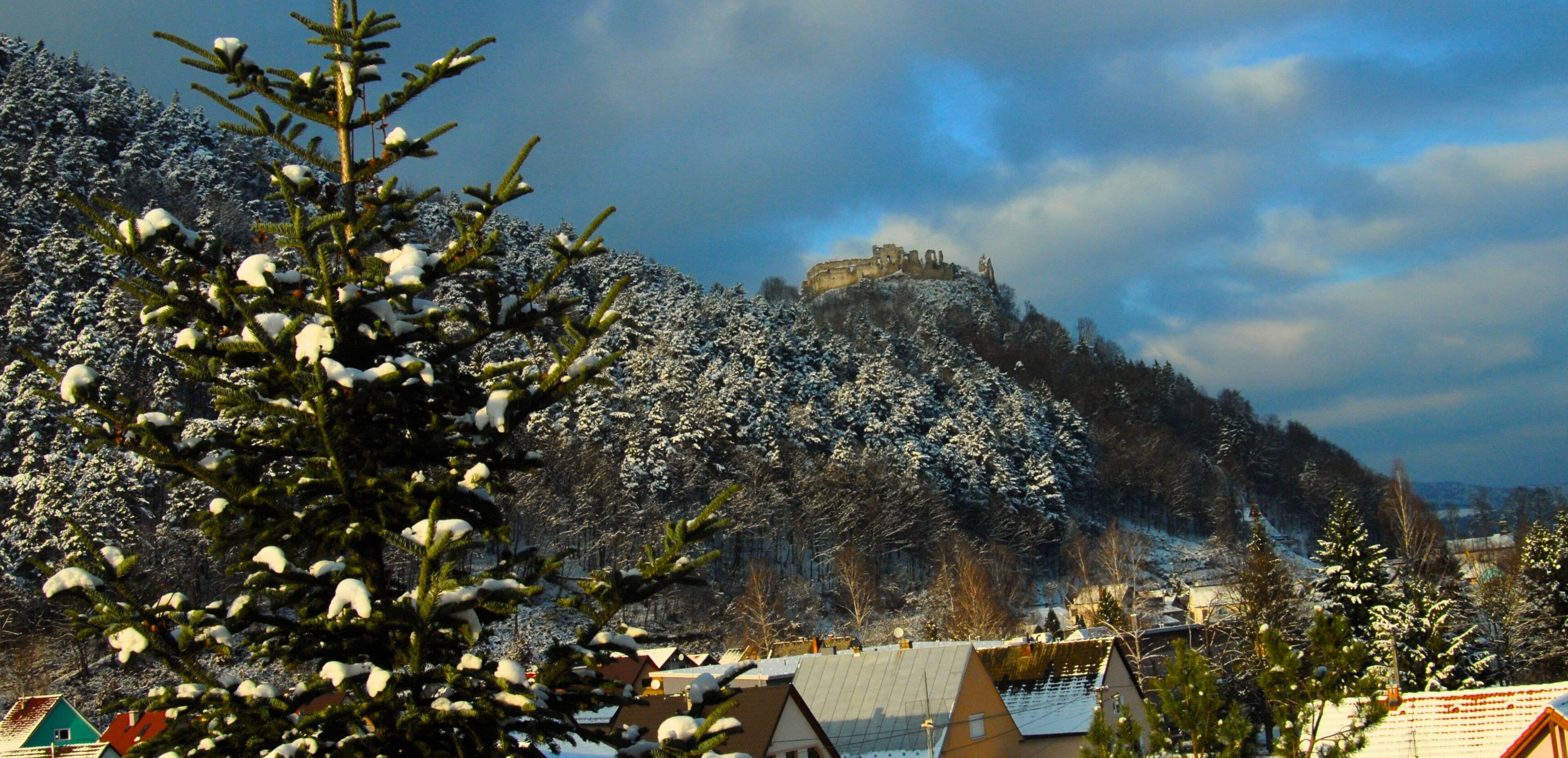 A snow-covered landscape with a castle on a hill, surrounded by trees and houses.