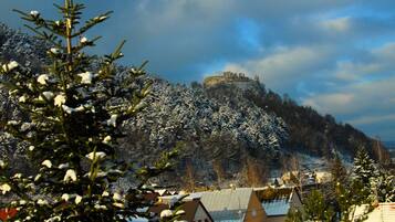 A snow-covered landscape with a castle on a hill, surrounded by trees and houses.