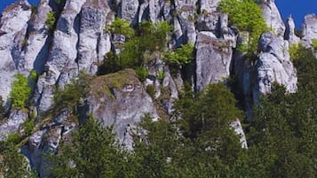 A rocky cliff with sparse vegetation.