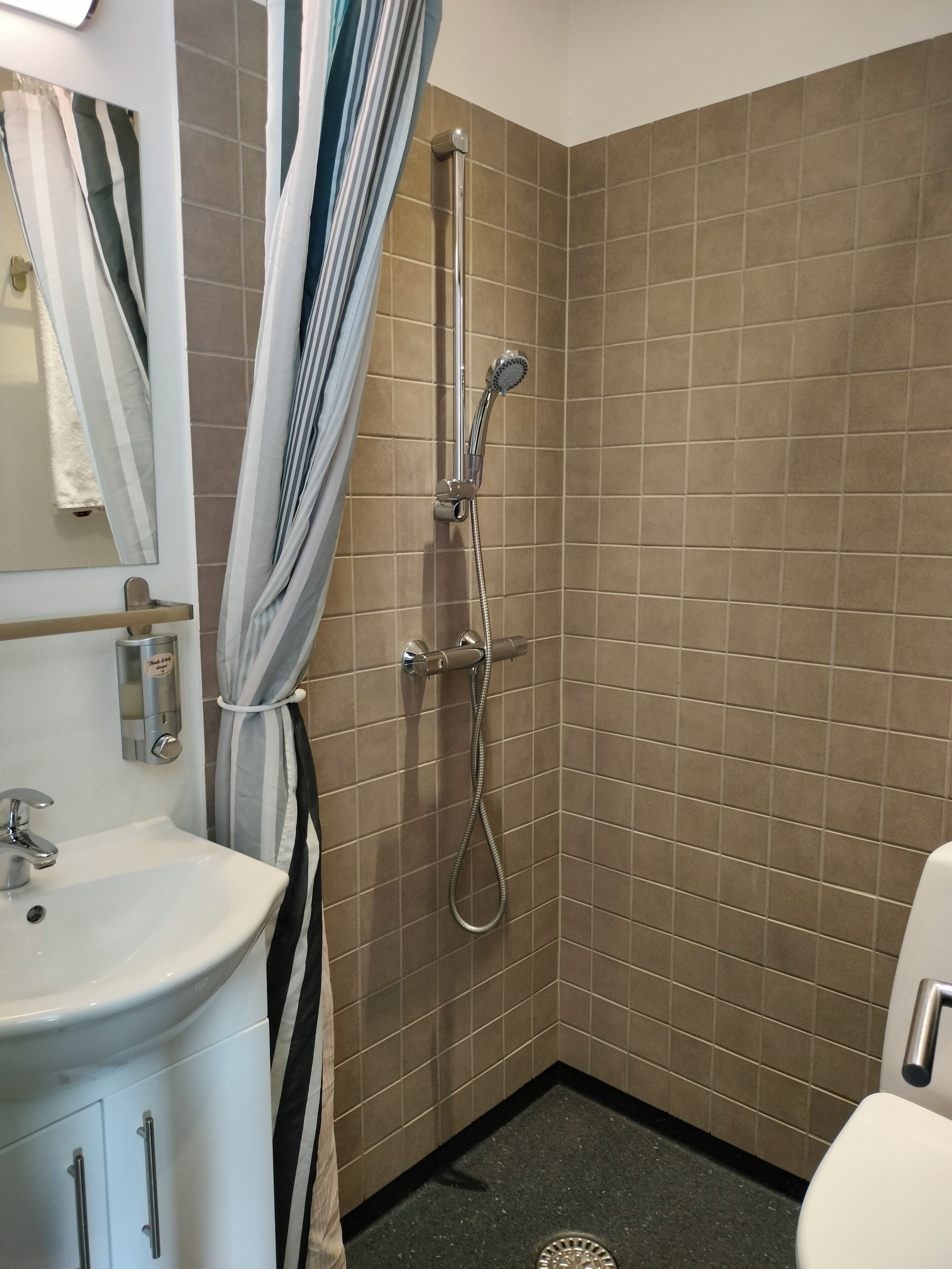 premium room, 1 double bed | bathroom | shower, towels, soap, shampoo