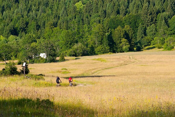 Um campo com dois ciclistas, uma colina arborizada ao fundo e uma placa indicativa.