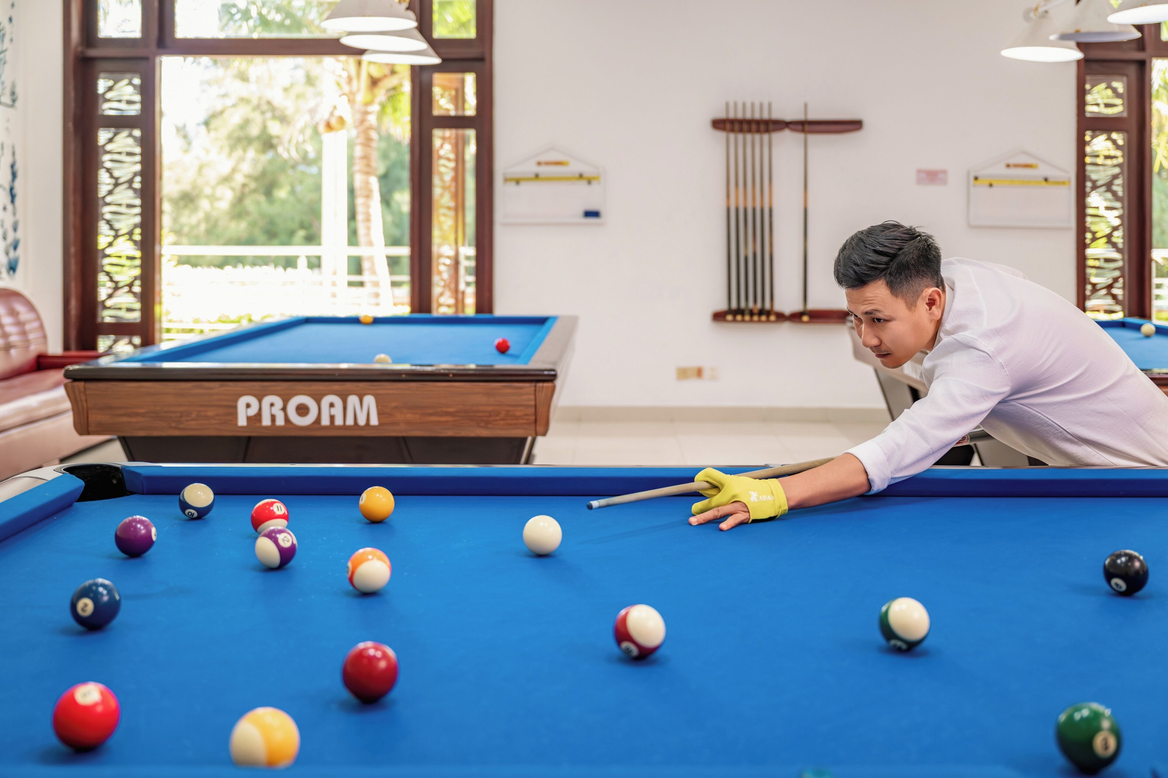 Une table de billard portant la mention « PROAM », une personne penchée au-dessus, et une fenêtre donnant sur un paysage verdoyant.