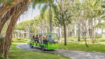 A green tour bus on a paved path surrounded by lush greenery and palm trees.