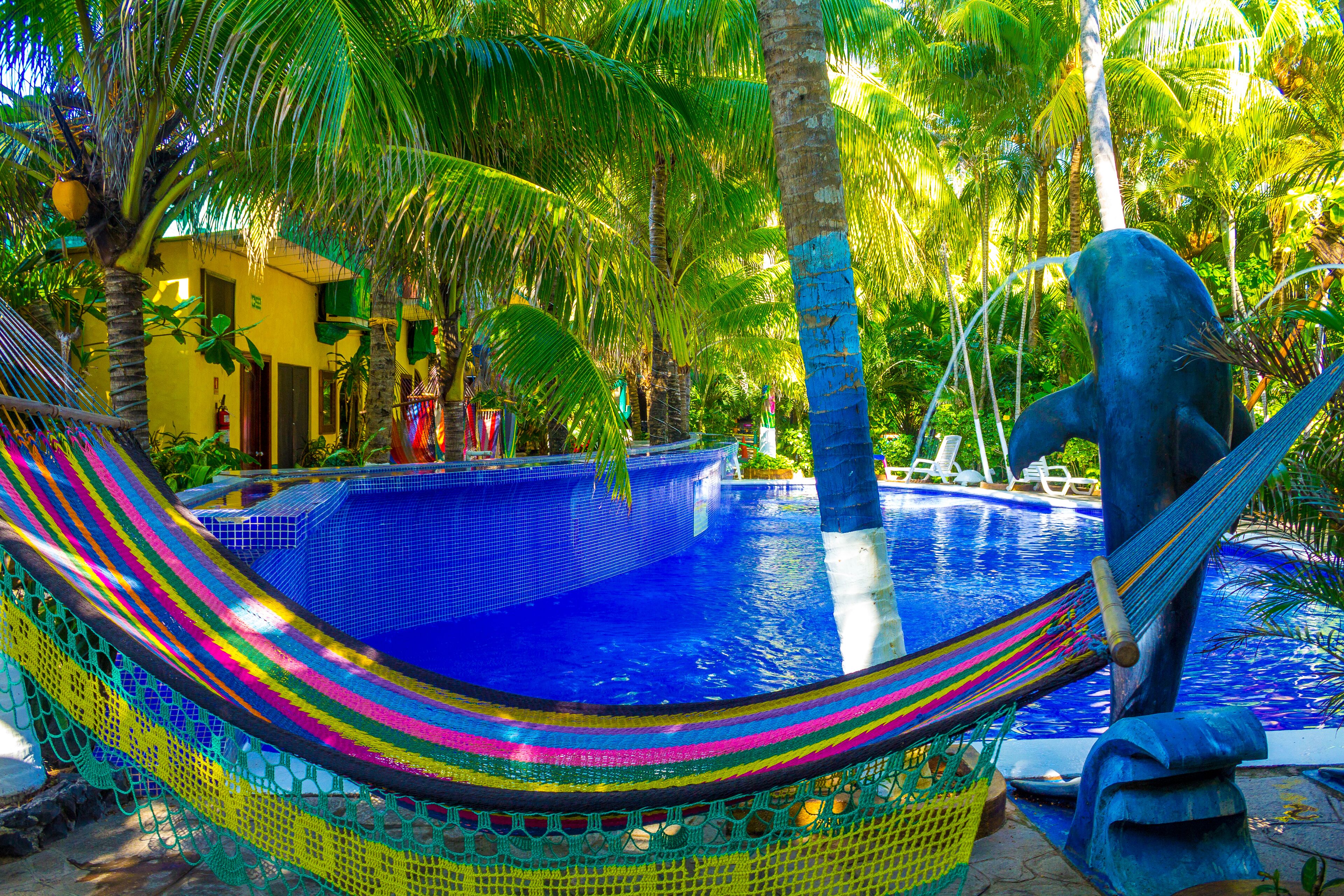 Una hamaca junto a una piscina rodeada de palmeras y un edificio amarillo.