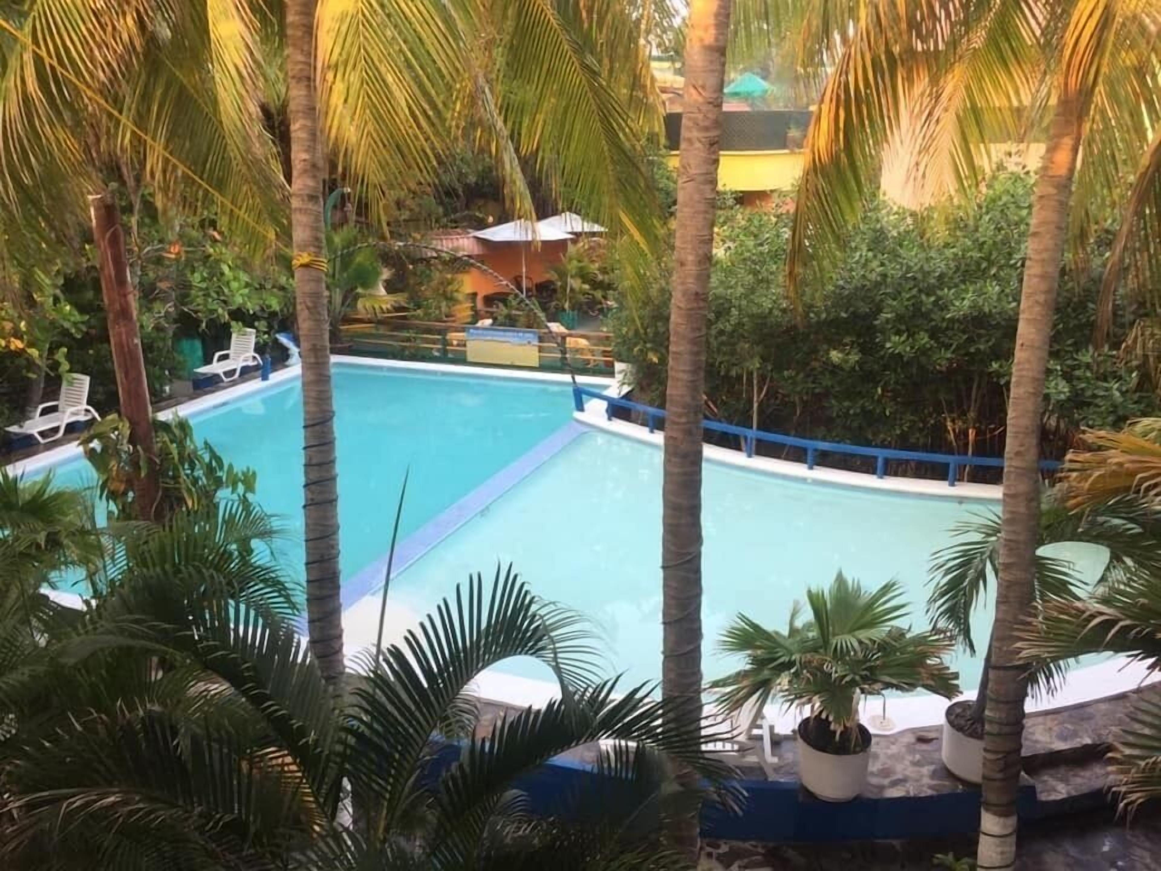 An indoor swimming pool surrounded by palm trees and lounge chairs.