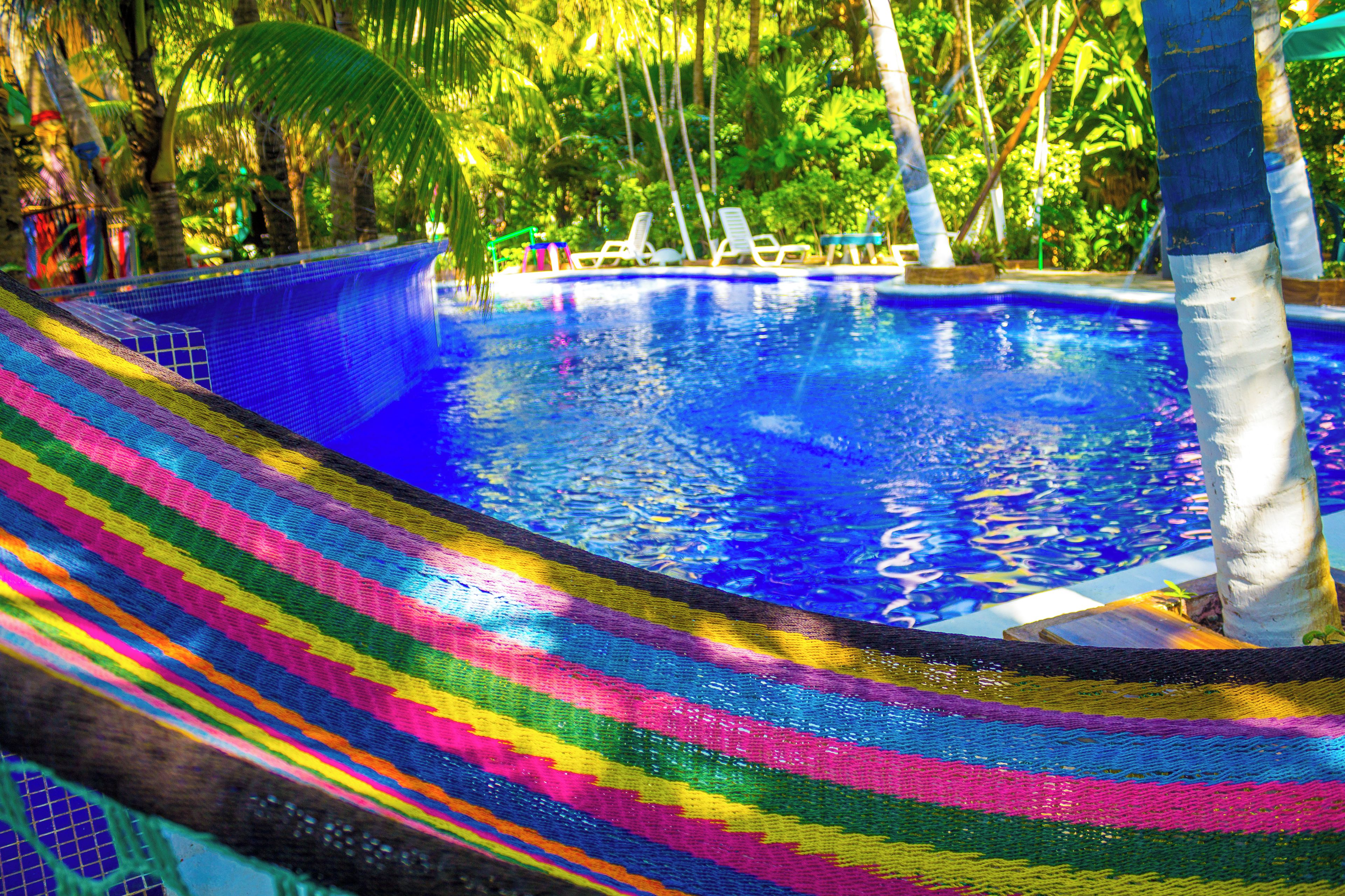 A swimming pool with a colorful hammock.