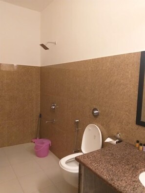 Serviettes fournies, savon, shampoing, papier toilette