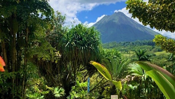 A natural landscape with a pond, rocks, and lush greenery.