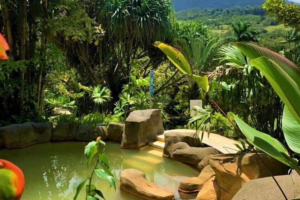 Arenal Paraíso Resort & Thermo Mineral Hot Springs