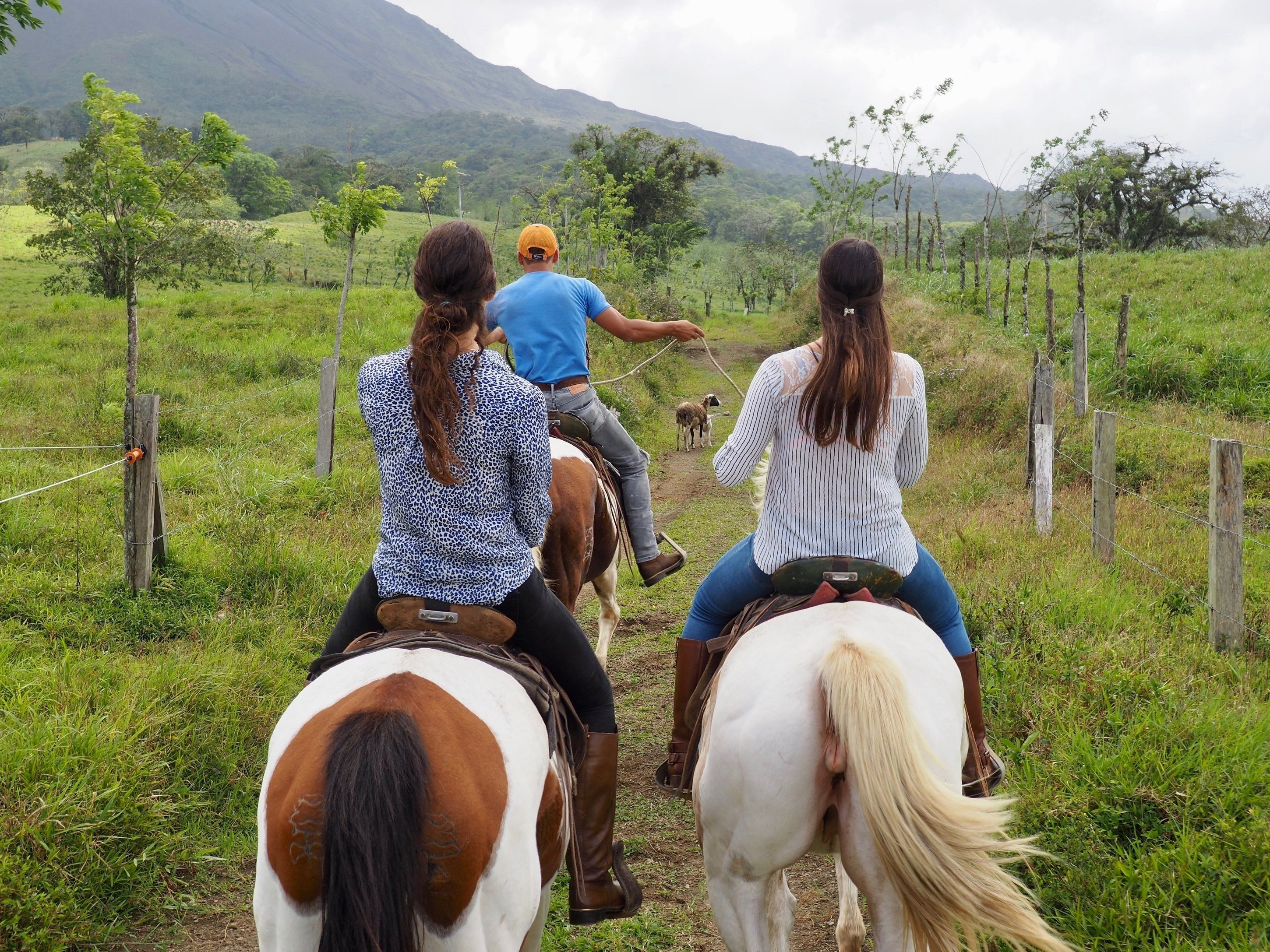 Three people riding horses on a dirt path with a grassy field and trees in the background.