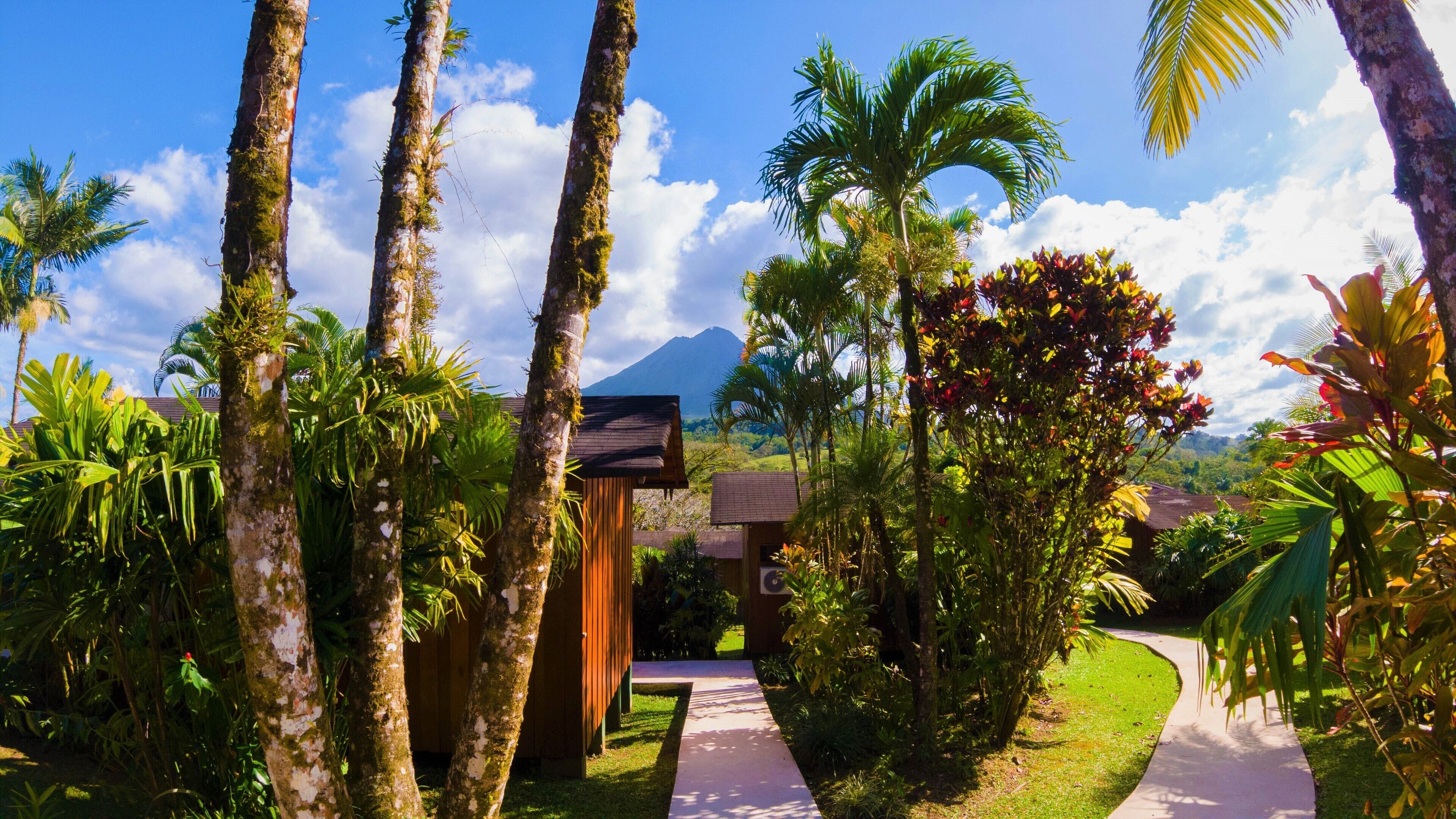 A tropical resort with a pathway leading to a wooden structure, surrounded by lush greenery and a mountain in the background.