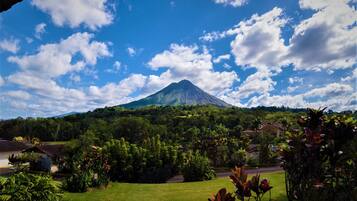 Vista desde la habitación