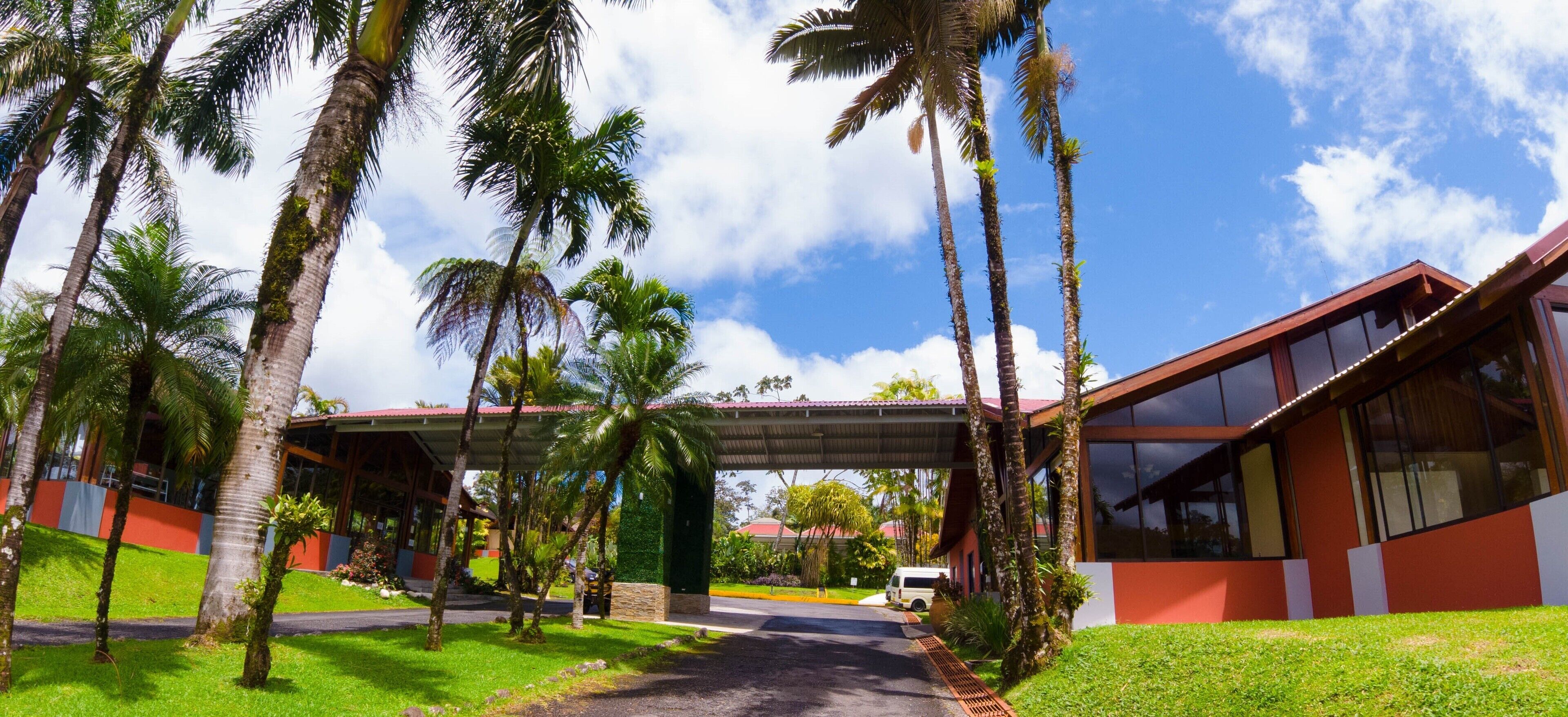 A modern building with a covered walkway, surrounded by palm trees and a clear sky.