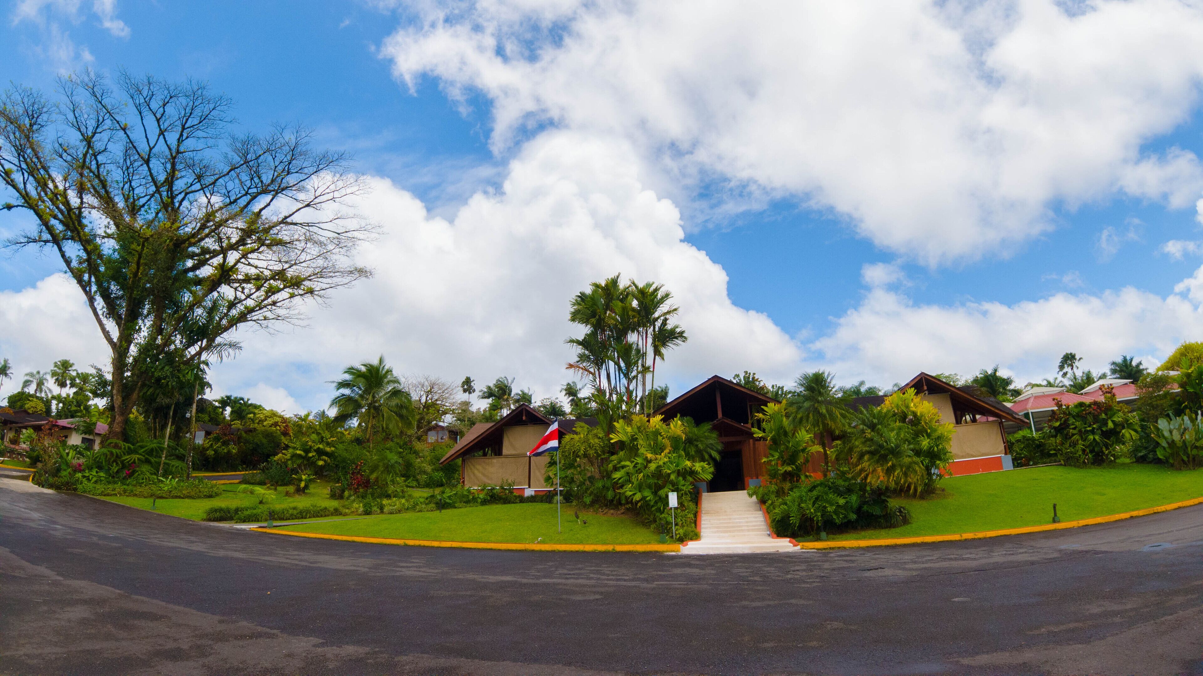 A residential area with houses, a flag, and lush greenery.