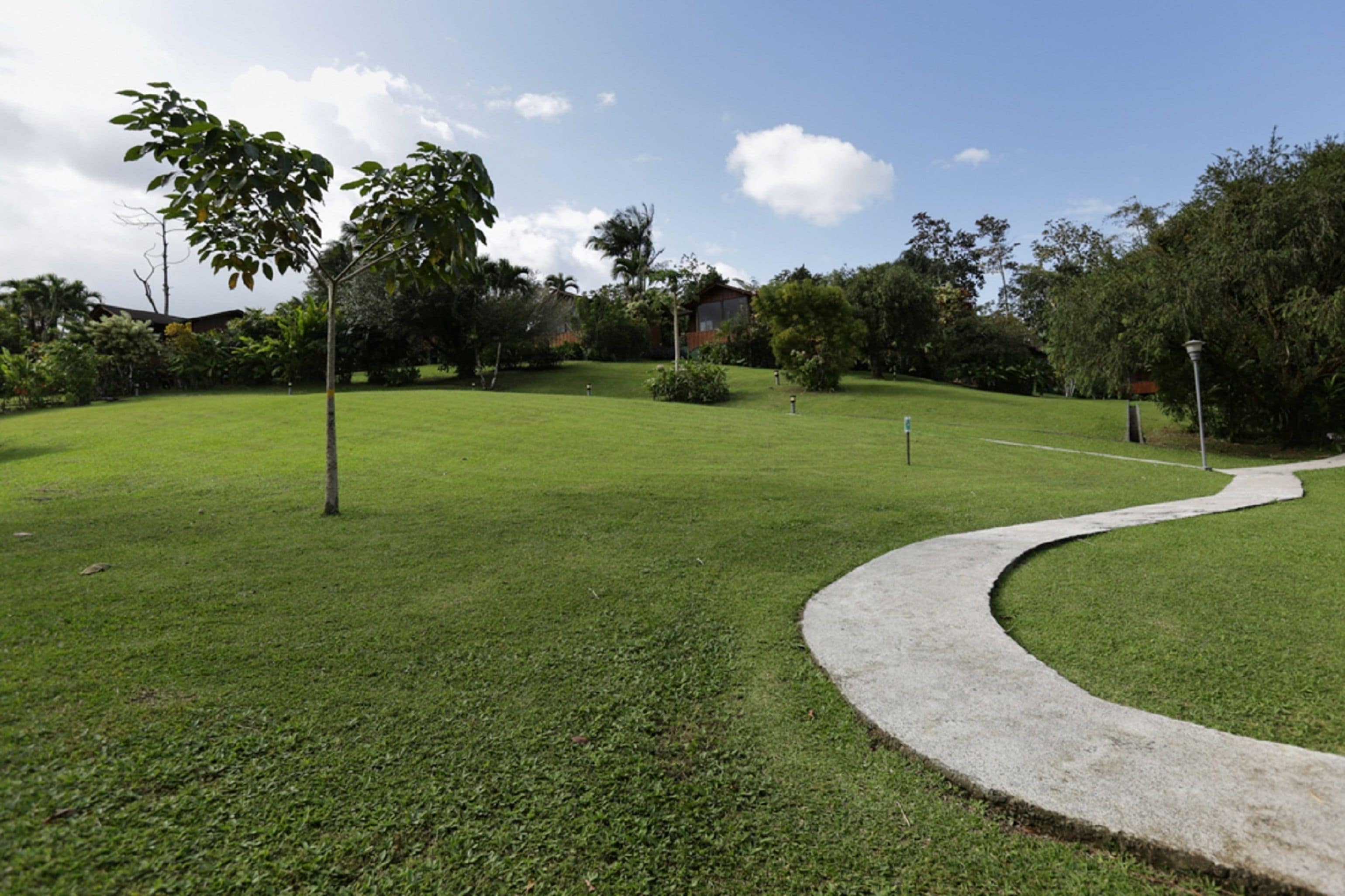 A well-maintained grassy area with a curved concrete path, surrounded by trees and shrubs.