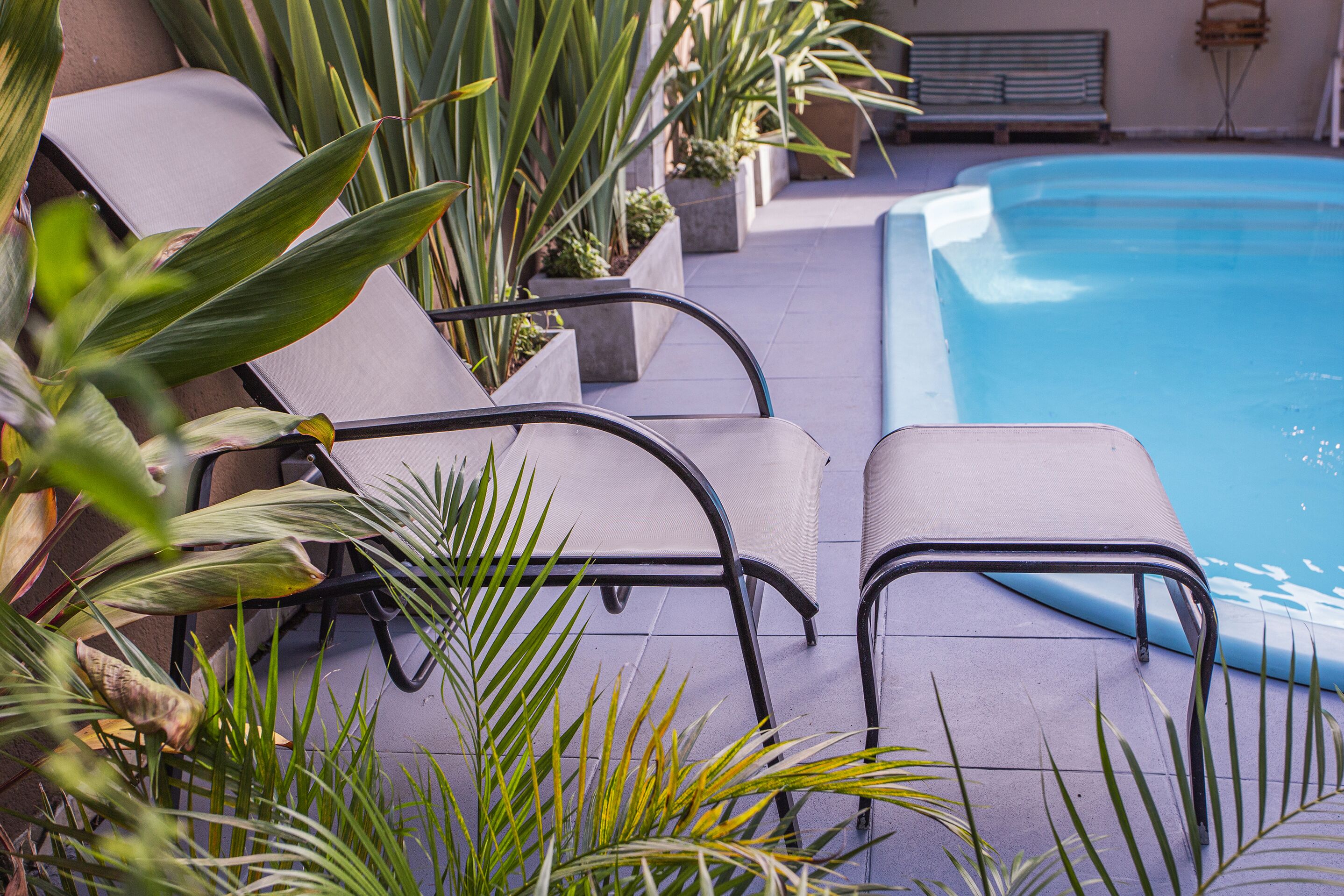 Zona junto a la piscina con sillas de descanso y plantas en macetas.