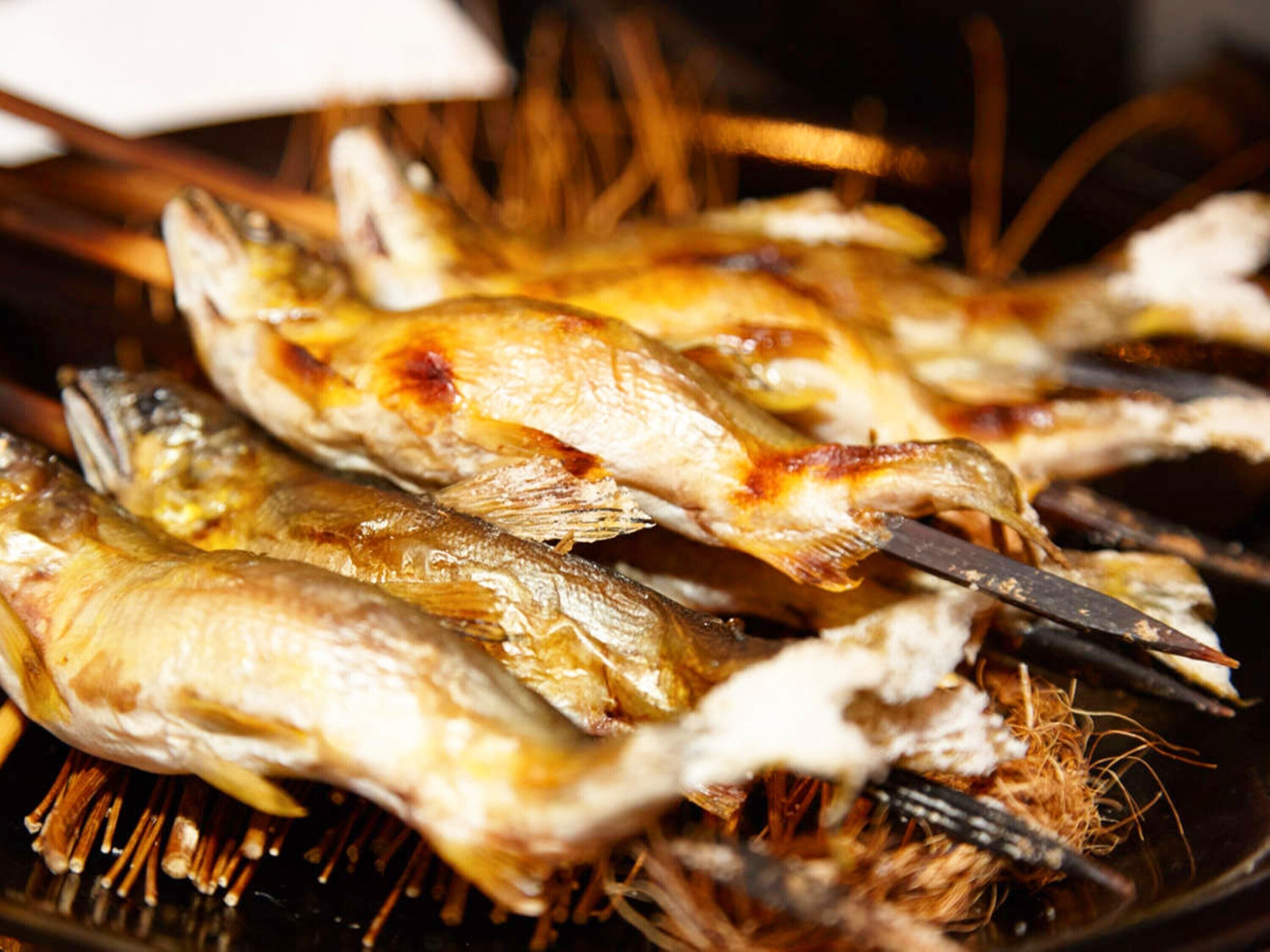 Pescado a la parrilla en brochetas.