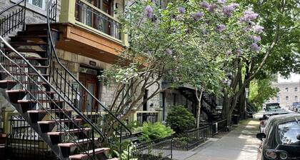 Loft Jacques-Cartier- Le Plateau Free Parking