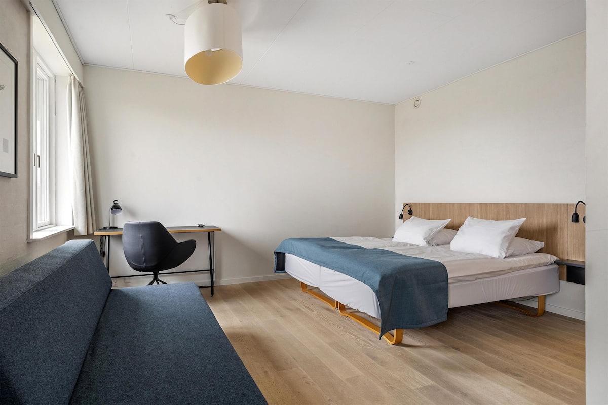 Suite Junior, 2 lits jumeaux, non-fumeur (with Sofabed)