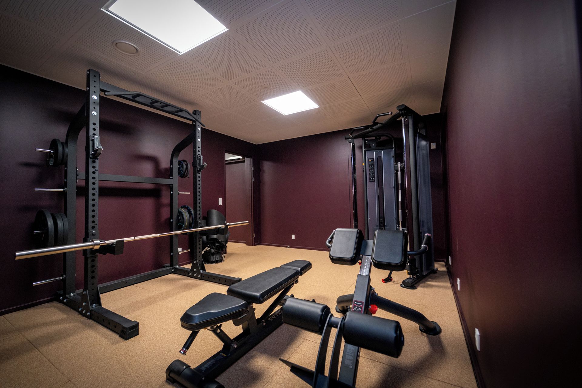 Un gimnasio con equipo de levantamiento de pesas, bancos y una jaula para sentadillas.