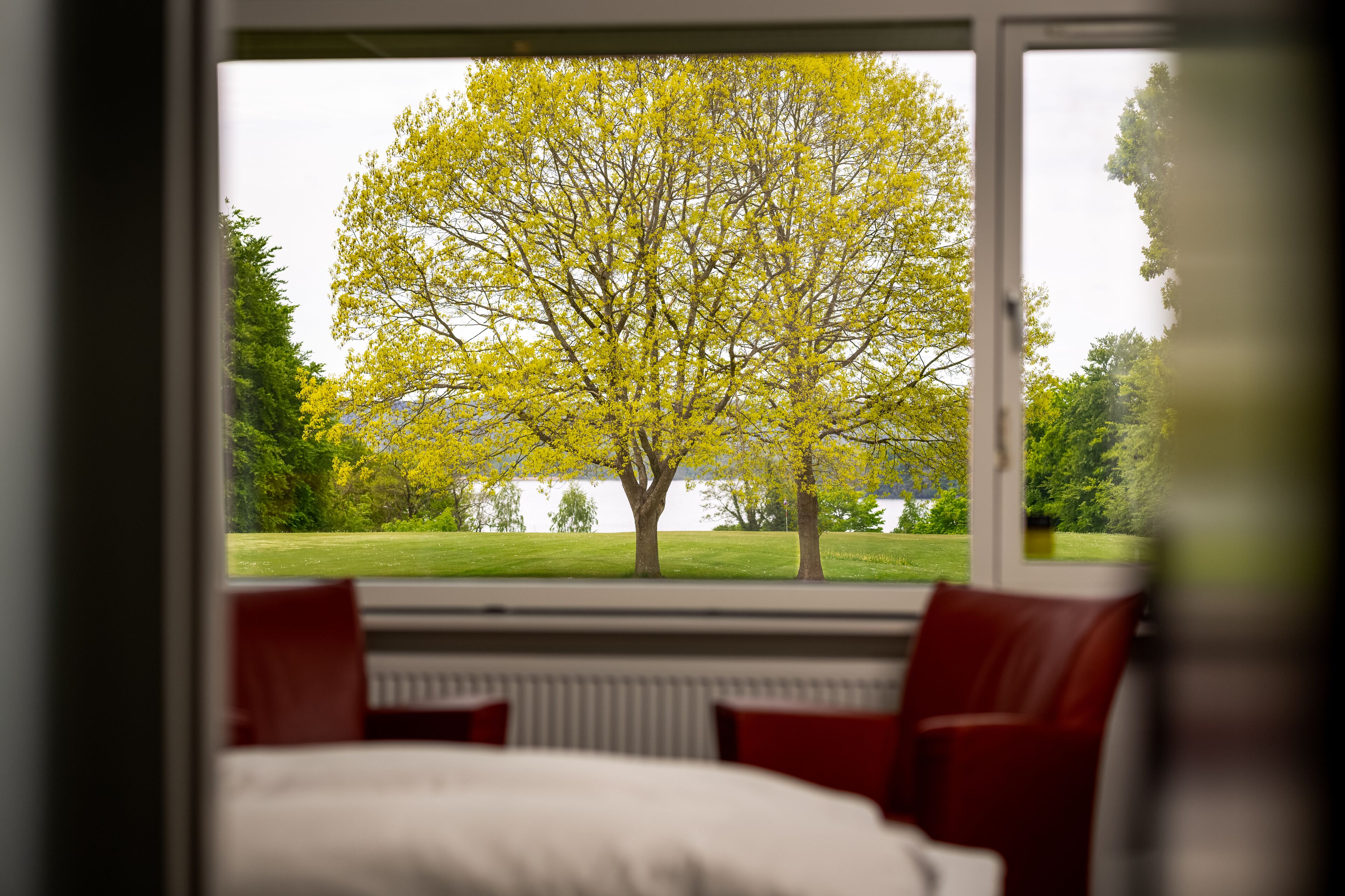 standard double room, lake view | 1 bedroom, in-room safe, desk, blackout curtains