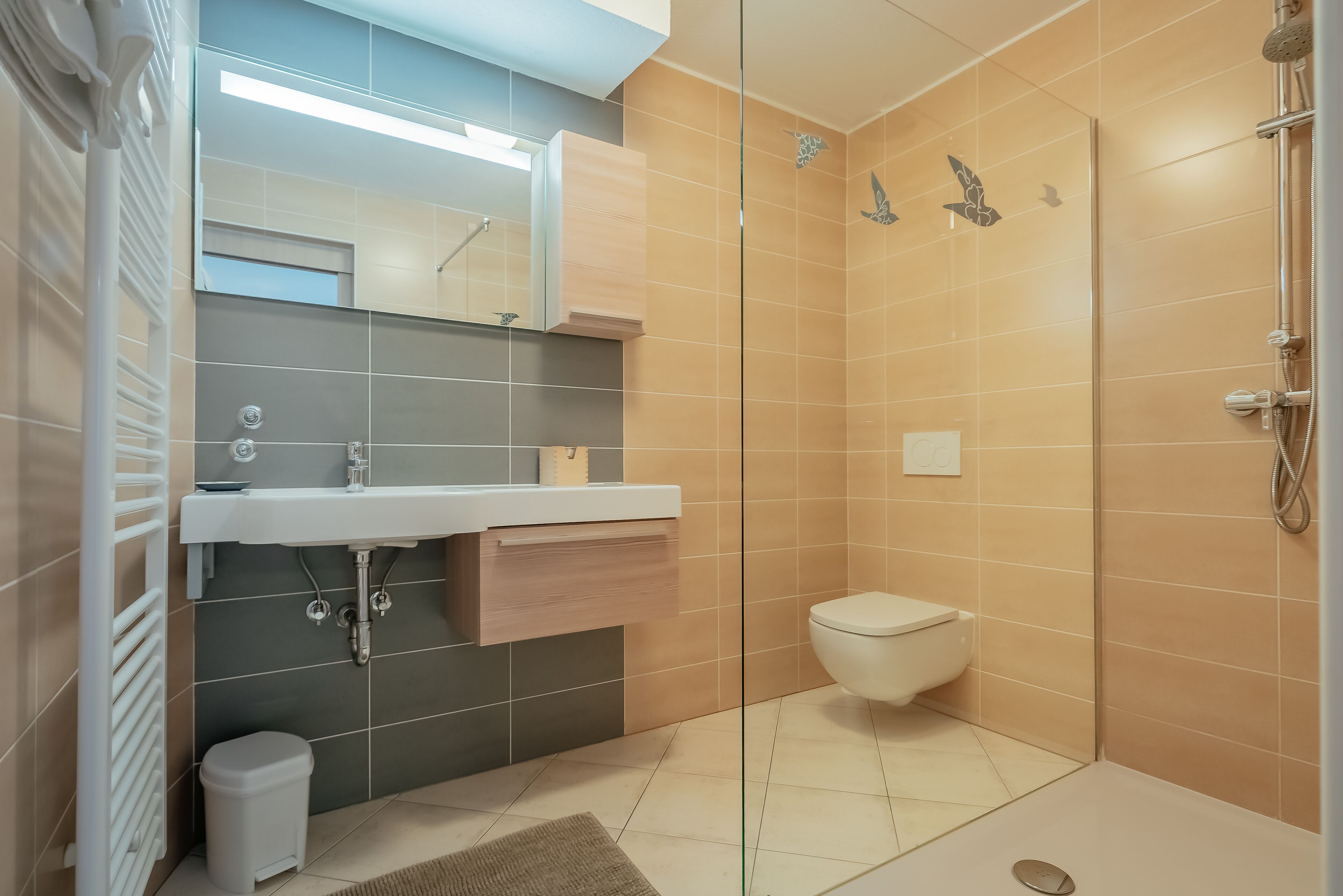 A modern bathroom with a glass shower enclosure, a white sink, and a toilet.