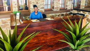 Un mostrador de recepción con un fondo de pared de piedra, una encimera de madera y dos plantas de aloe en primer plano.