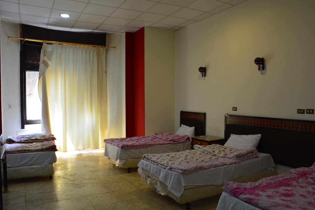 Sábanas de algodón egipcio y ropa de cama hipoalergénica