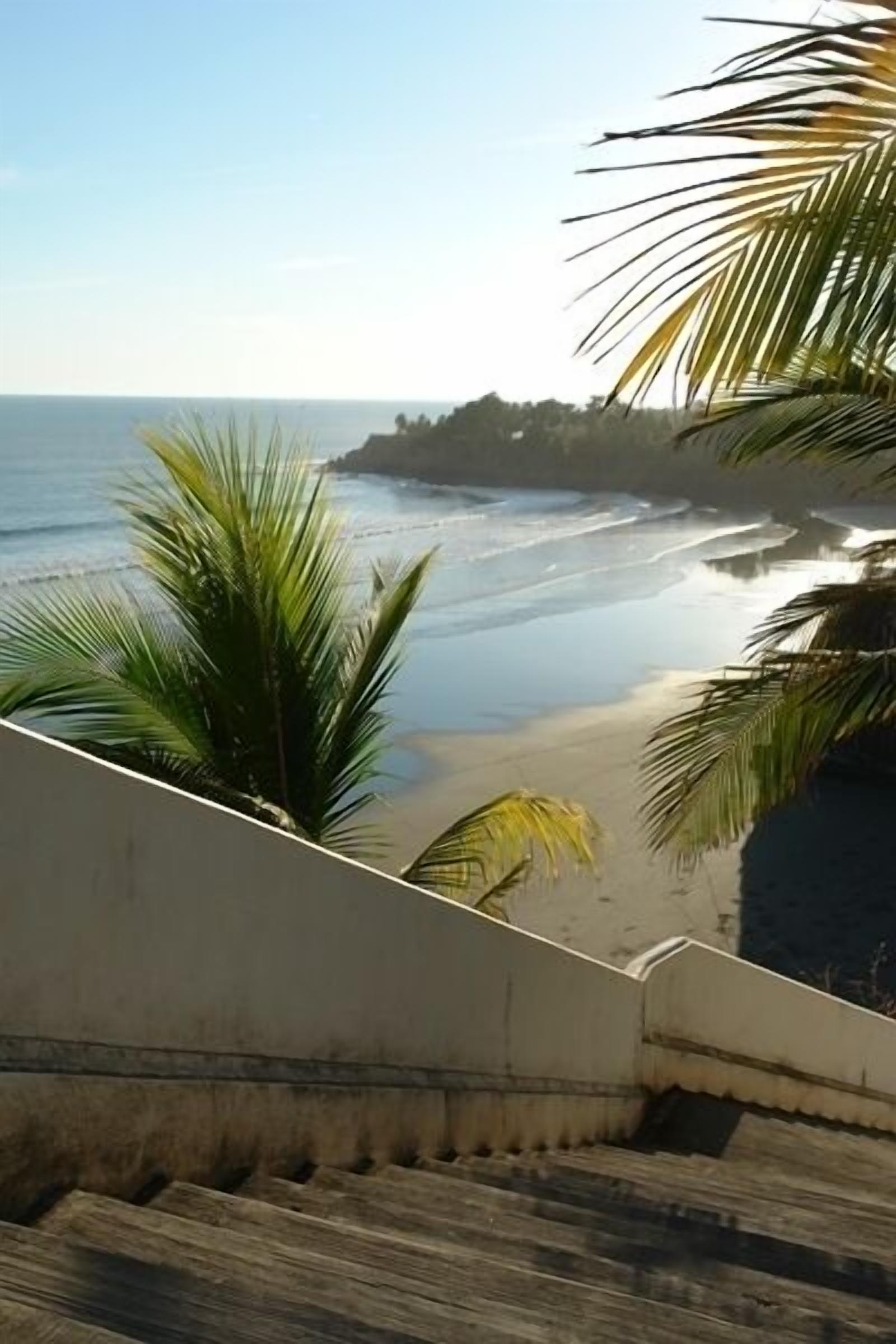 Une vue sur la plage, avec des palmiers et un escalier descendant vers le rivage.
