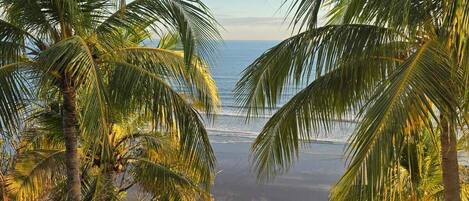 A staircase leading to a beach with palm trees and a clear view of the ocean.