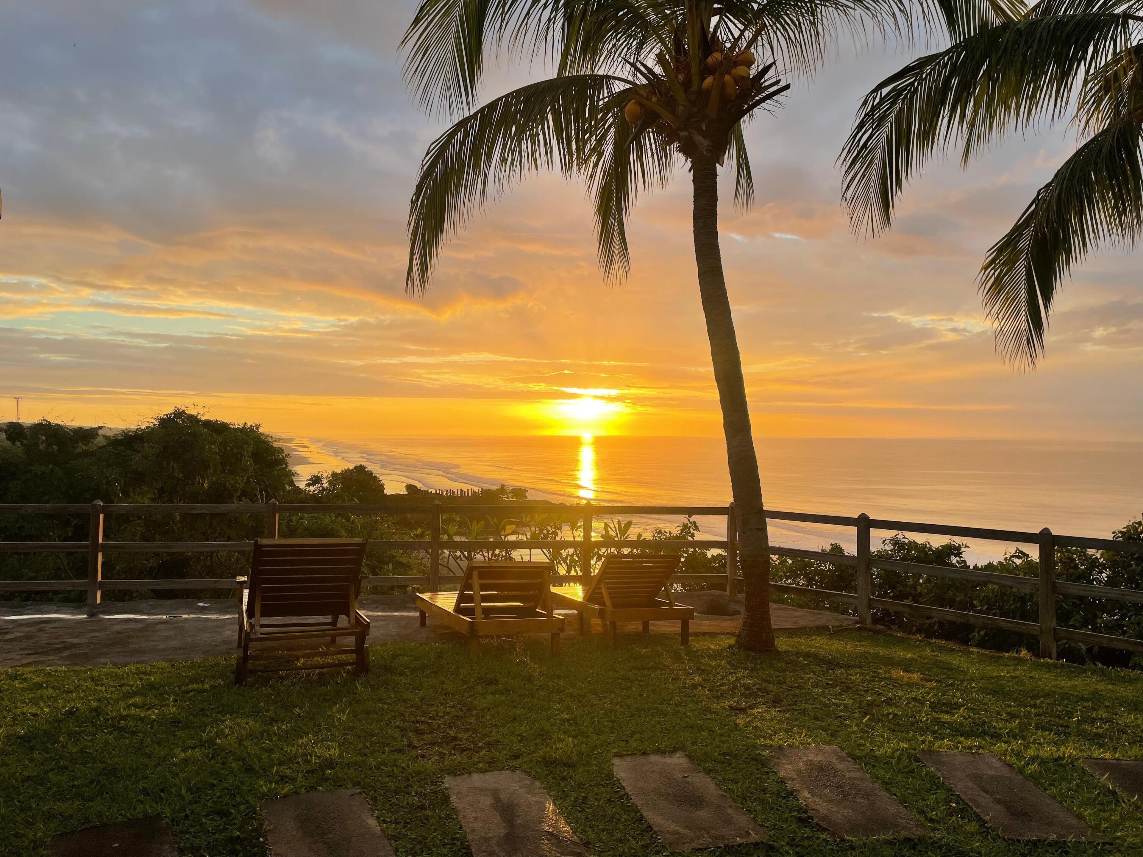 A sunset view with a palm tree, a wooden fence, and two wooden benches.
