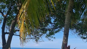 A tropical garden with a view of the ocean.