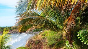 A staircase leading to a beach with palm trees and ocean views.