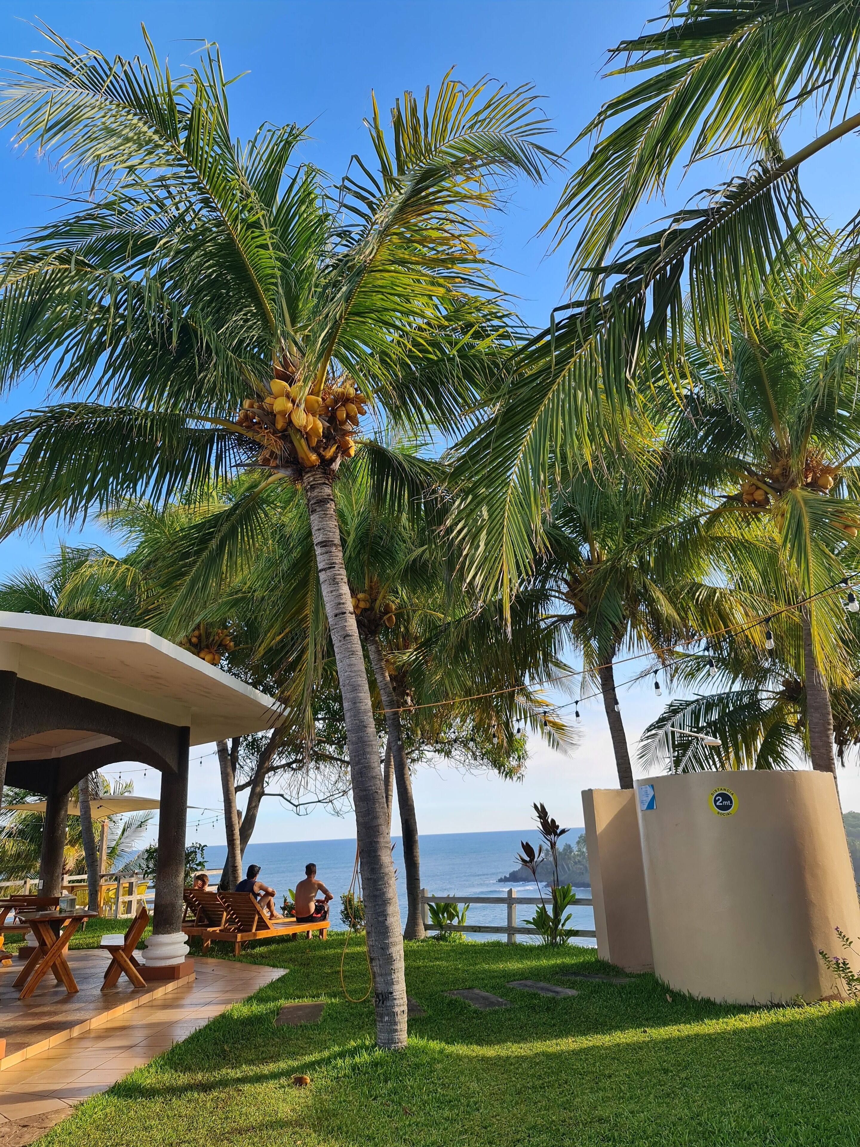 A beachside resort with palm trees, outdoor seating, and a view of the ocean.