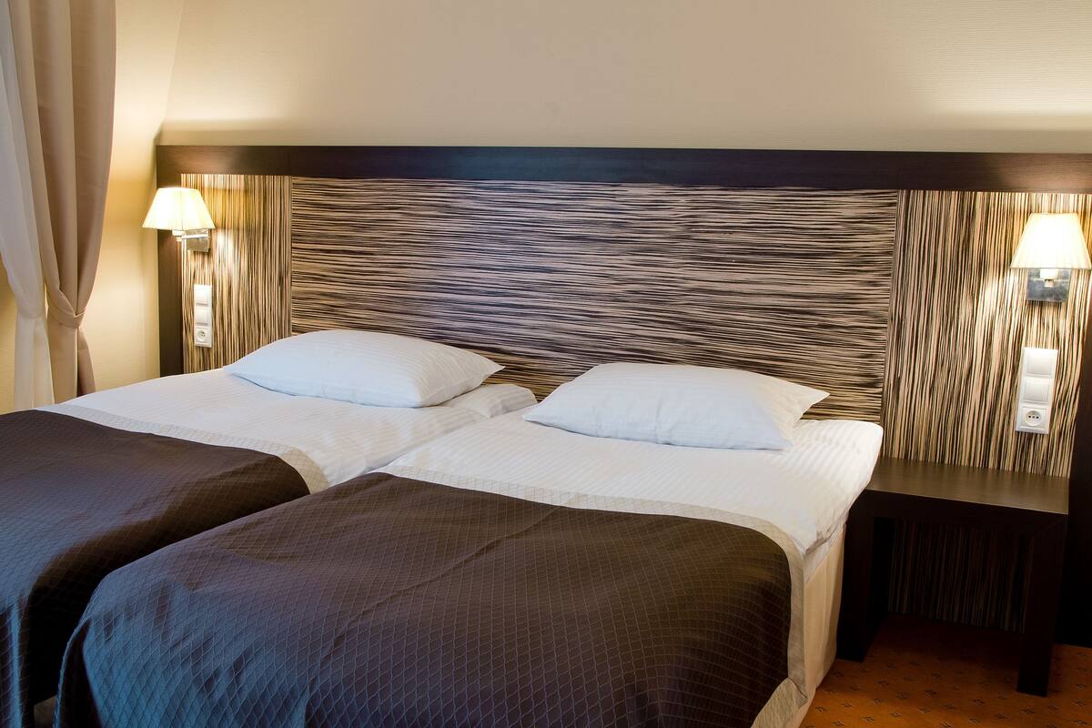 standard double room | 1 bedroom, minibar, desk, free wifi