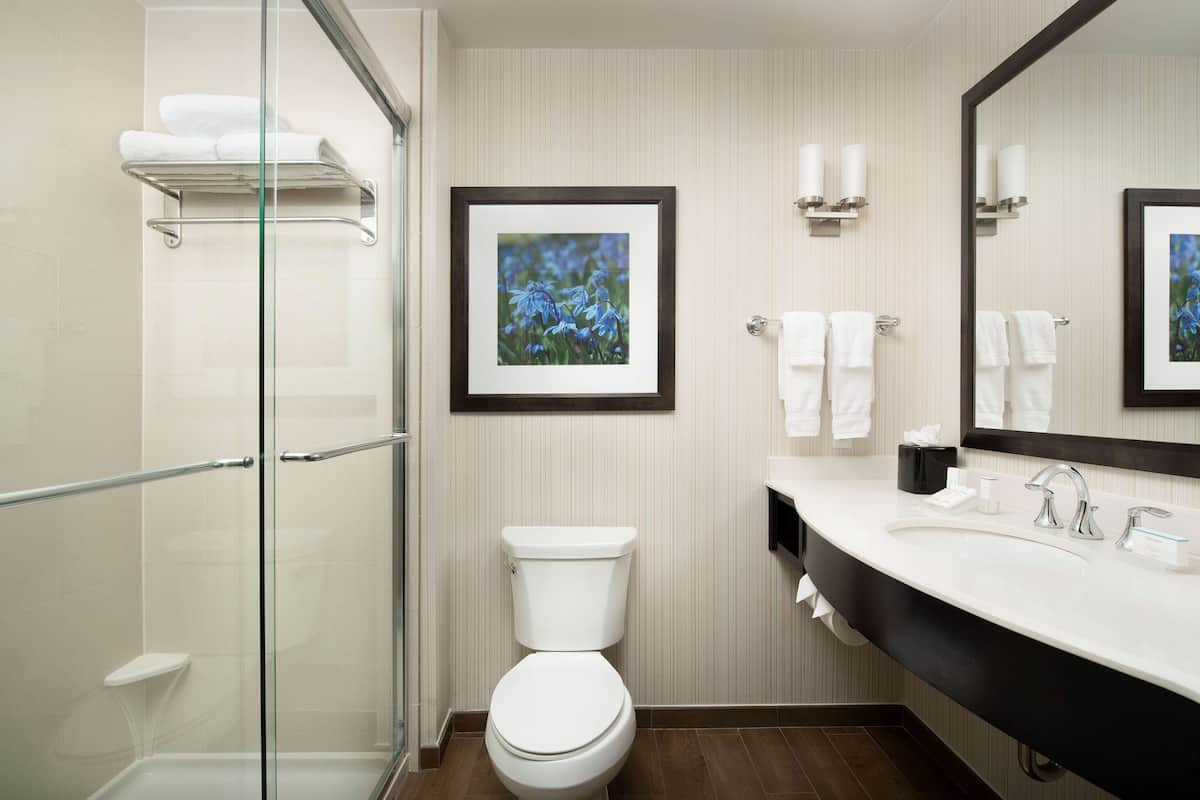 bathroom shower