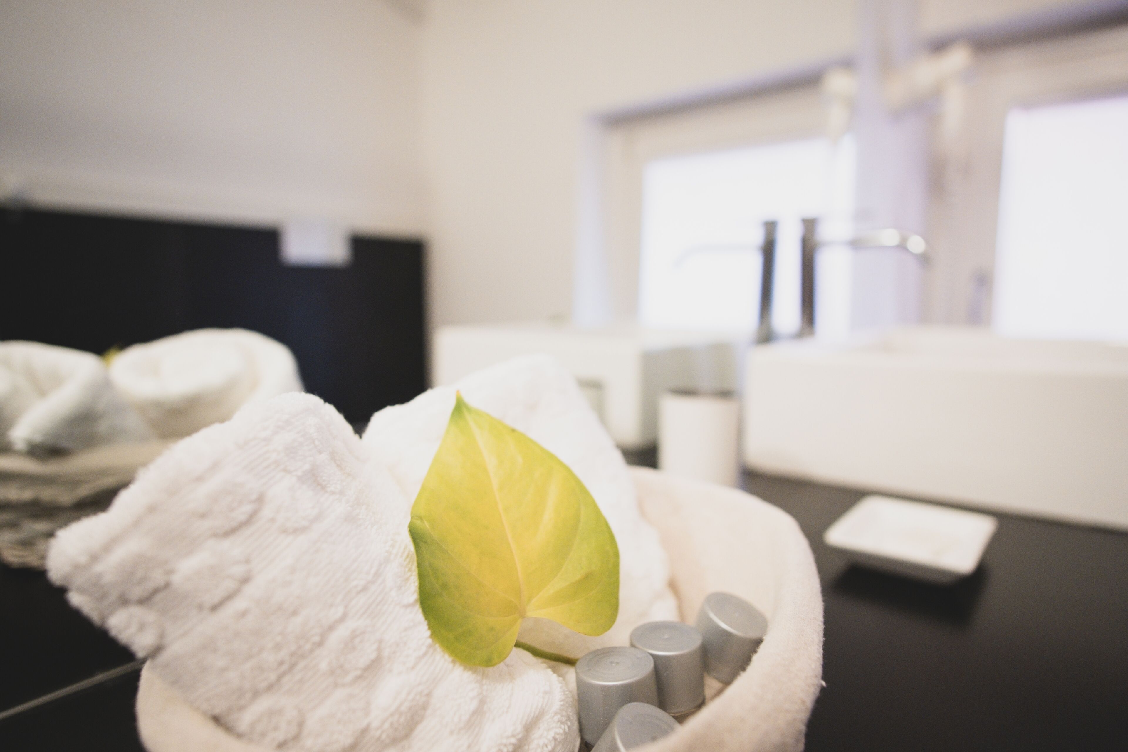 套房, 非吸煙房, 河景 | 浴室 | 淋浴設備、免費盥洗用品、吹風機、坐浴桶