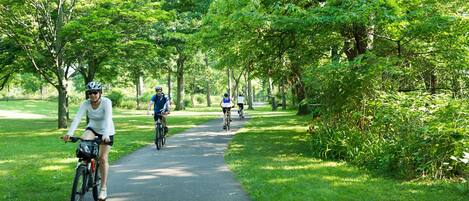 Un sendero pavimentado en un parque con ciclistas.