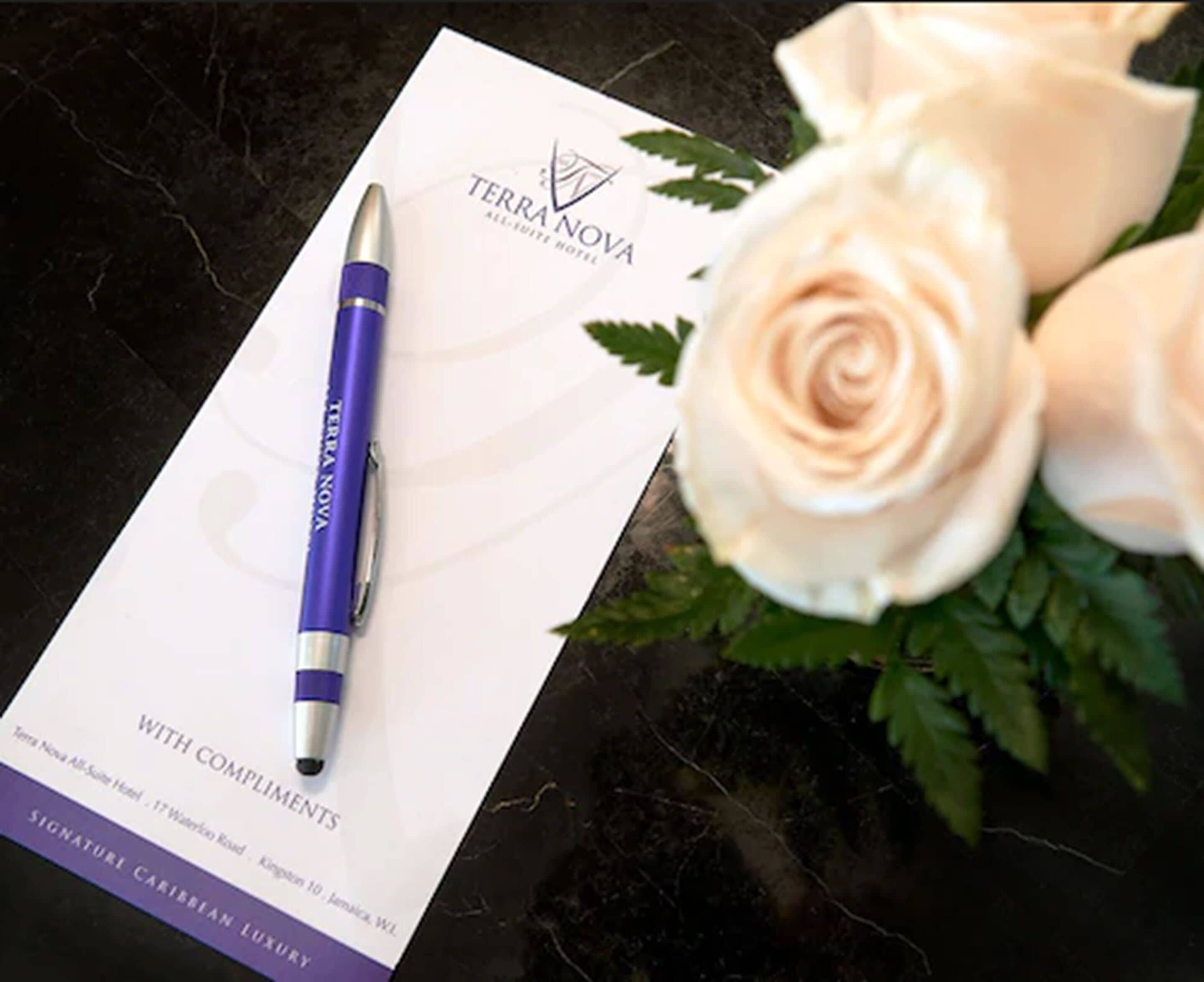 Un stylo posé sur une carte ornée du logo de Terra Nova, une rose blanche et quelques feuilles vertes.