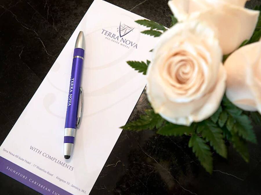 Un stylo posé sur une carte ornée du logo de Terra Nova, une rose blanche et quelques feuilles vertes.