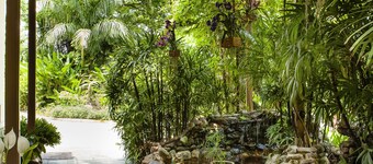 Terra Nova, BW Premier Collection