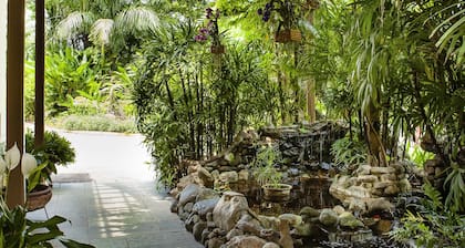 Terra Nova, BW Premier Collection