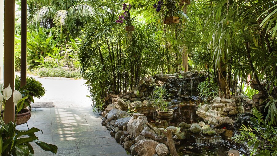 Terra Nova, BW Premier Collection