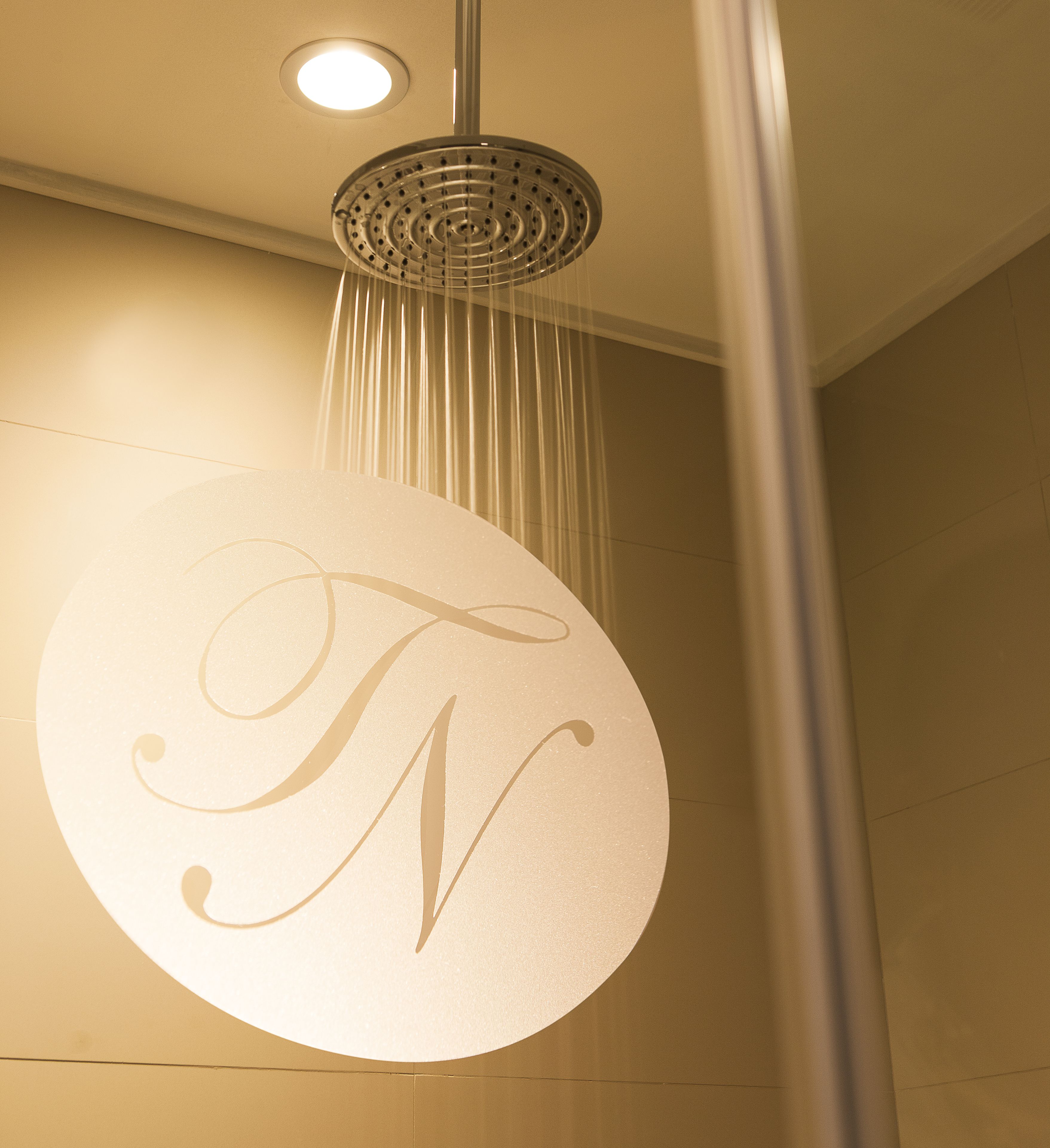 premium junior suite | bathroom shower