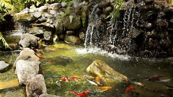A clear pond with rocks and koi fish, surrounded by lush greenery and a small waterfall.